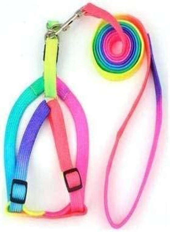 Pups&Pets Rainbow Color Puppy Harness & Leash Set Small Dog Harness Leash Size 15 MM (Harness + Leash) - Image 1
